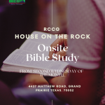 Digging Deep Bible Study